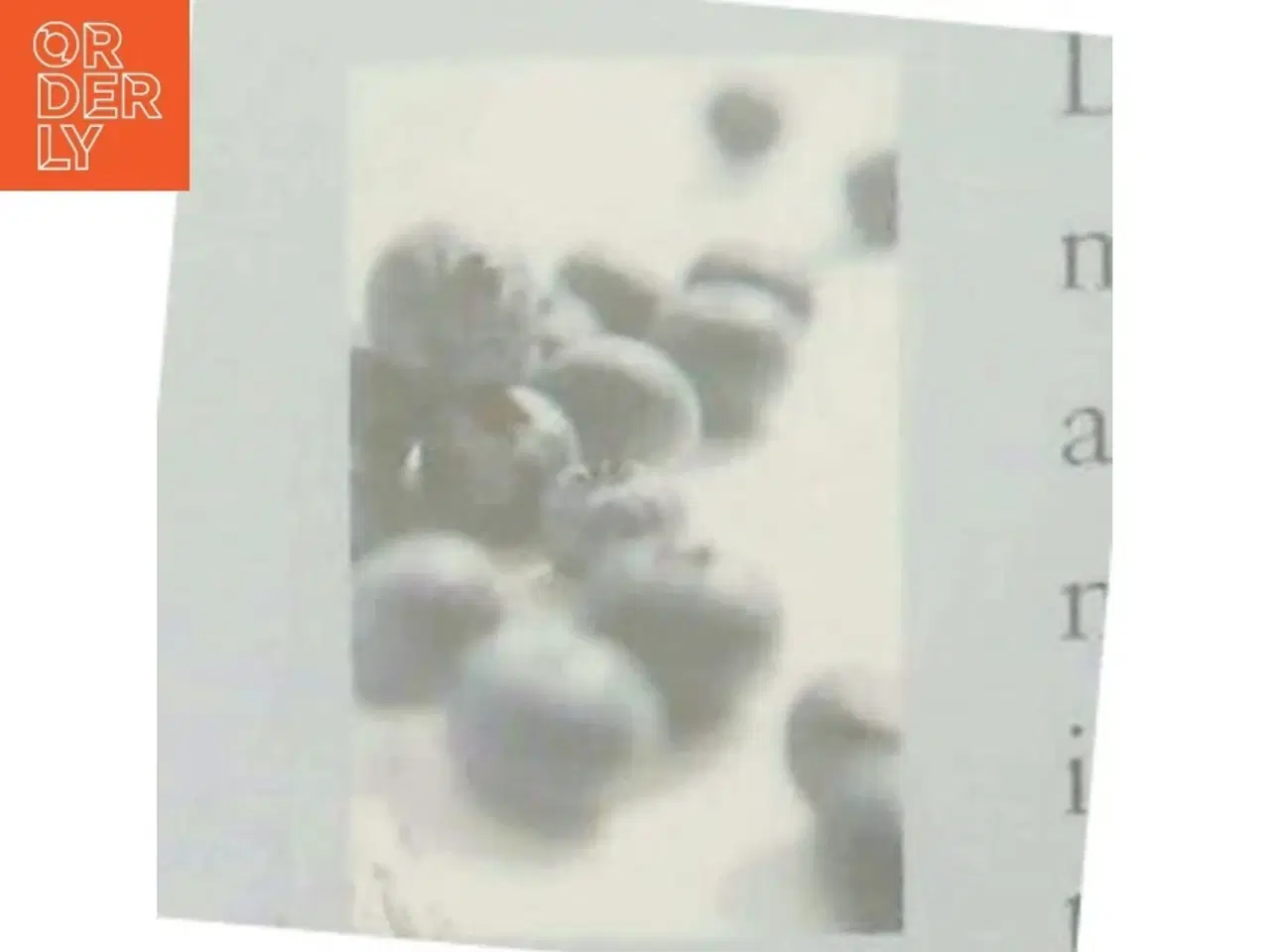 Billede 3 - Sundt, nemt & lækkert : opskrifter og tips til mad i en travl hverdag af Inge Vinding (Bog)