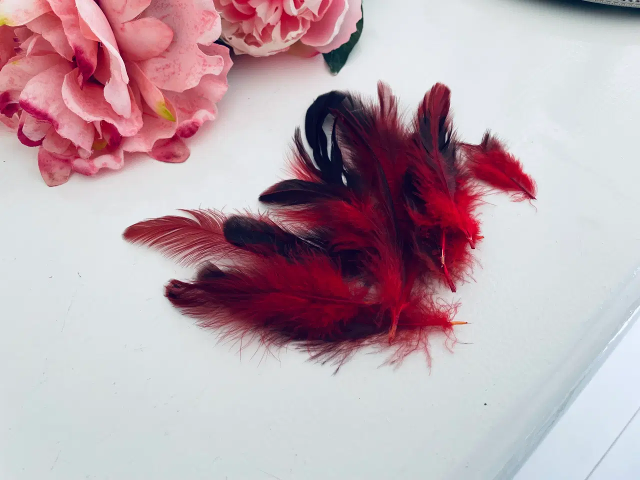 Billede 2 - Fjer i røde og mørke nuancer 