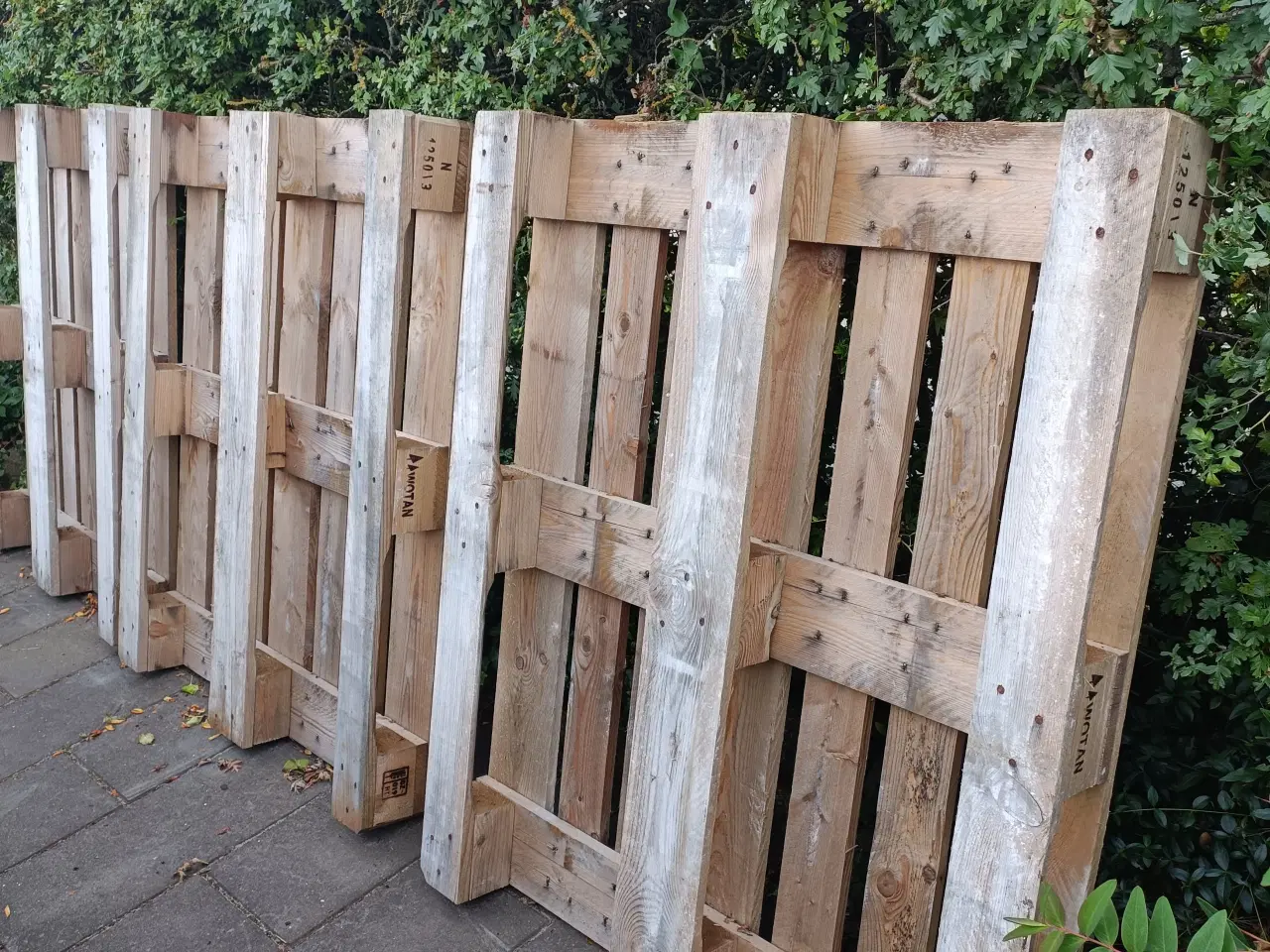 Billede 1 - 3stk Paller 120x100cm