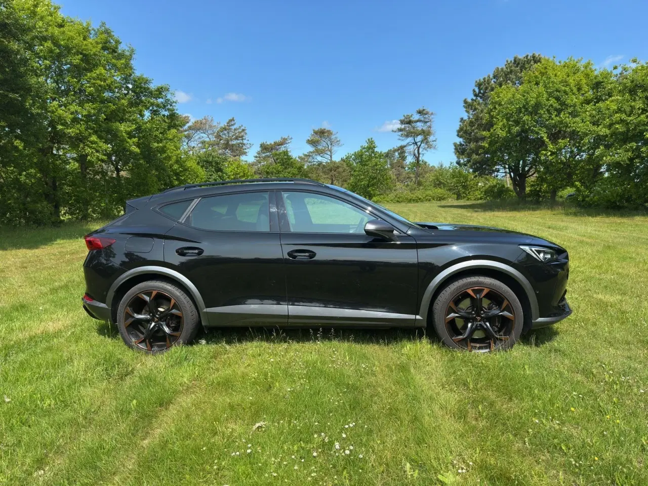 Billede 4 - Cupra Formentor 1,4 eHybrid VZ DSG