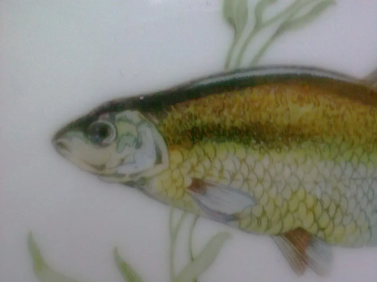 Billede 3 - Frokost fisk T2 sjov sild hygge tallerken sæt