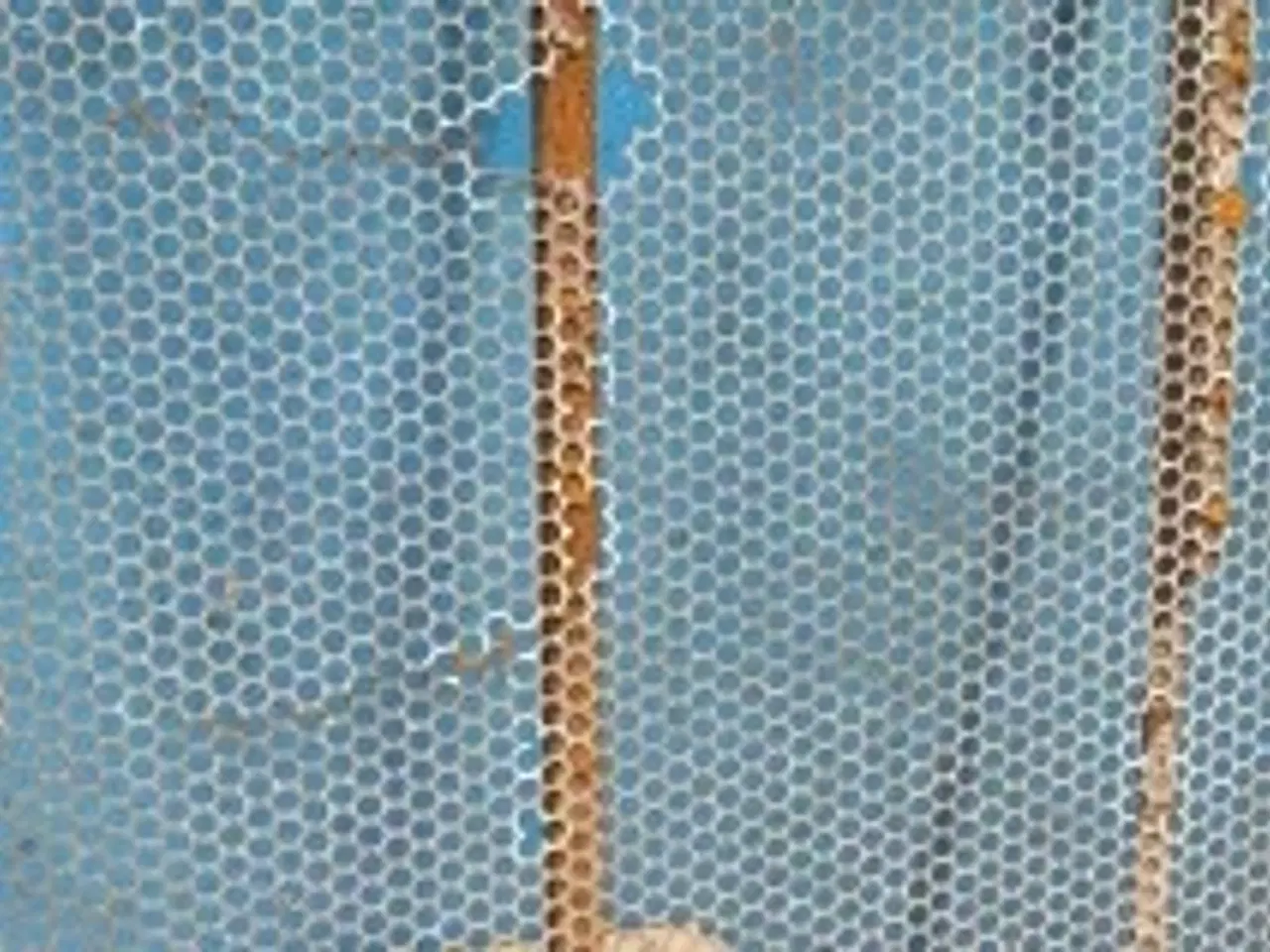 Billede 11 - Laverda 3600 Undersold 300136023  (3)