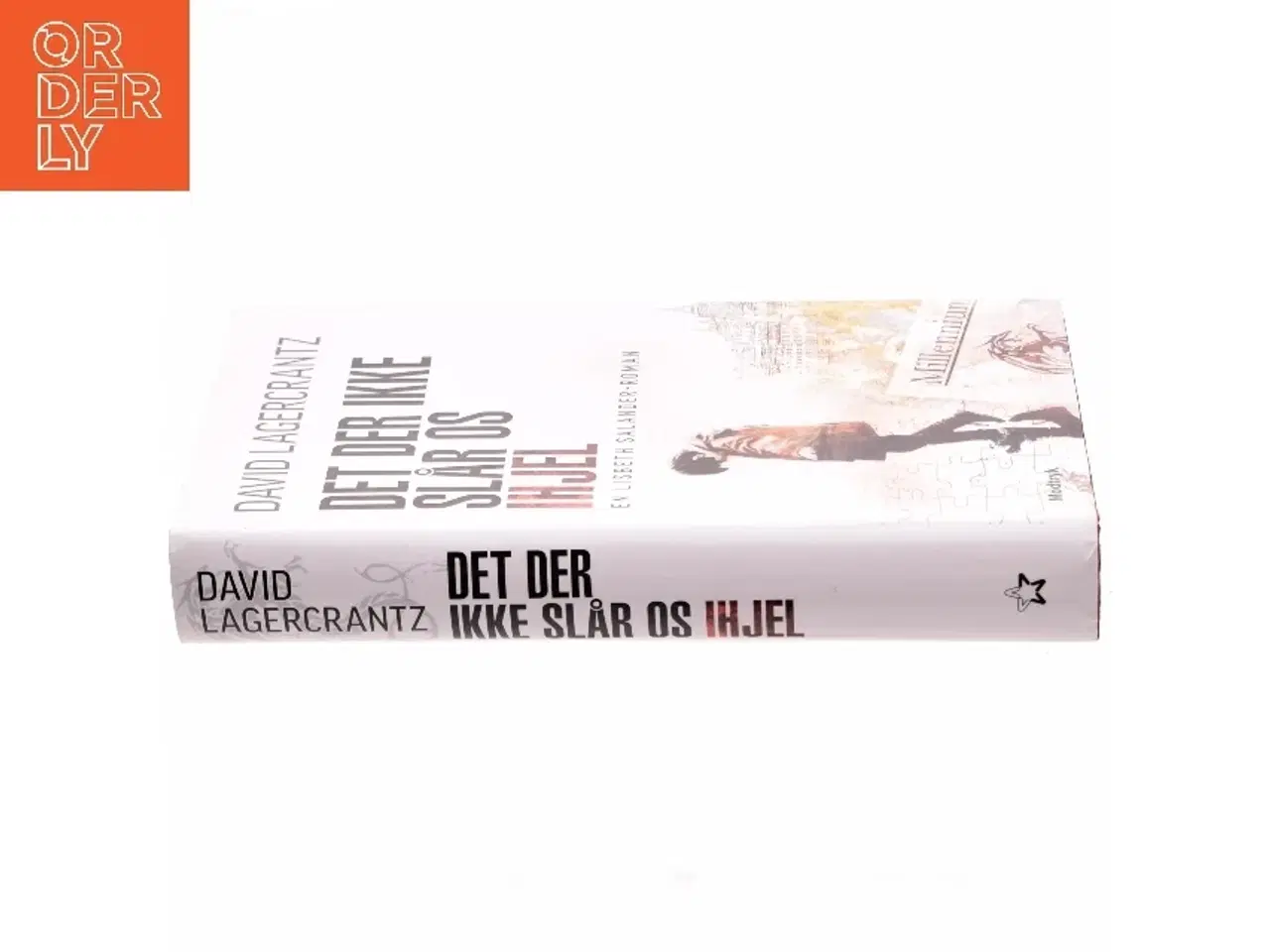 Billede 2 - Det der ikke slår os ihjel af David Lagercrantz (Bog)