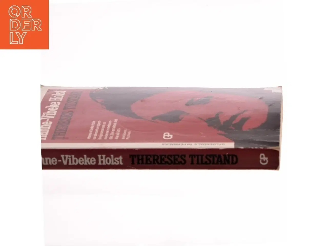 Billede 2 - Thereses tilstand : roman af Hanne-Vibeke Holst (Bog)