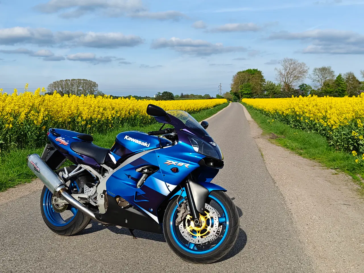 Billede 3 - Kawasaki ZX9R, årgang 2000