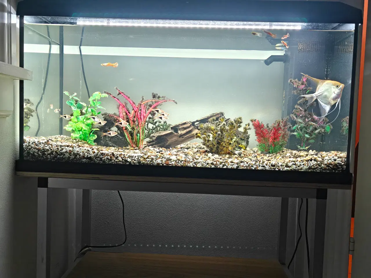 Billede 4 - Komplet 110 liter akvarium