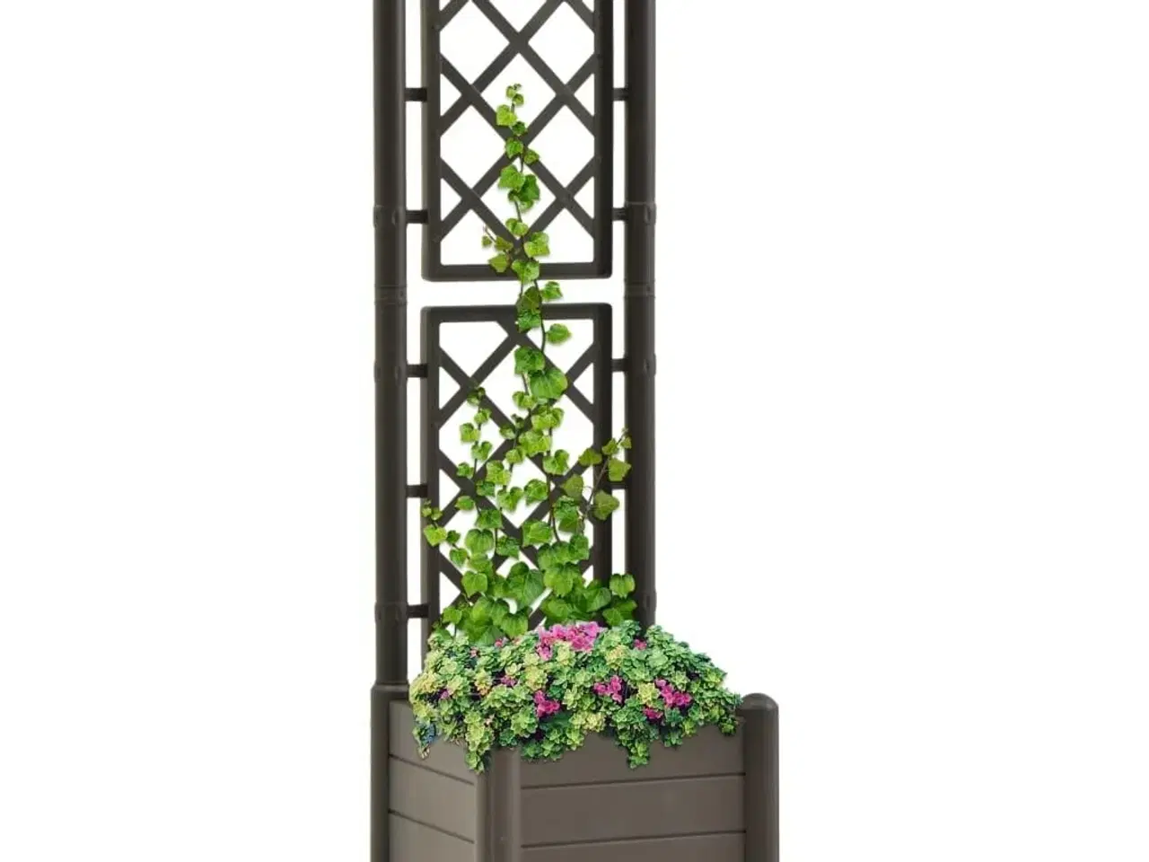 Billede 1 - Plantekasse med espalier 43x43x142 cm PP antracitgrå