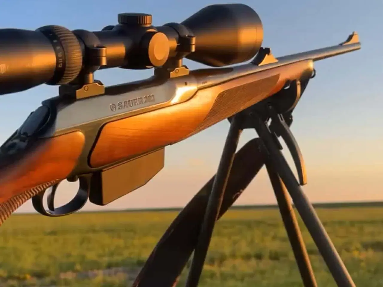 Billede 1 - SAUER 202, 270 WIN LINKS