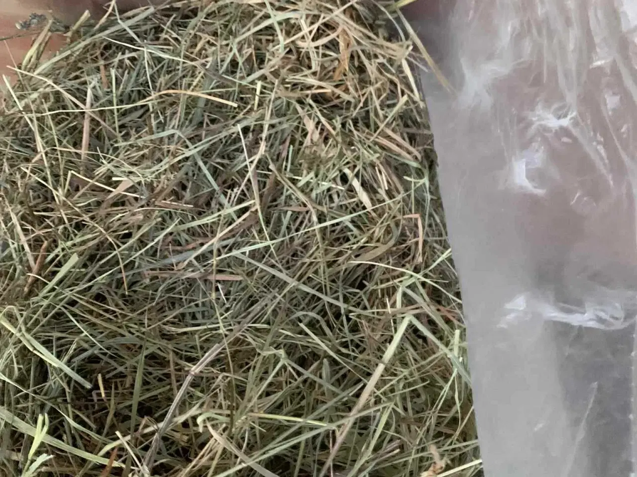 Billede 1 - Hø i pose Ca 50l