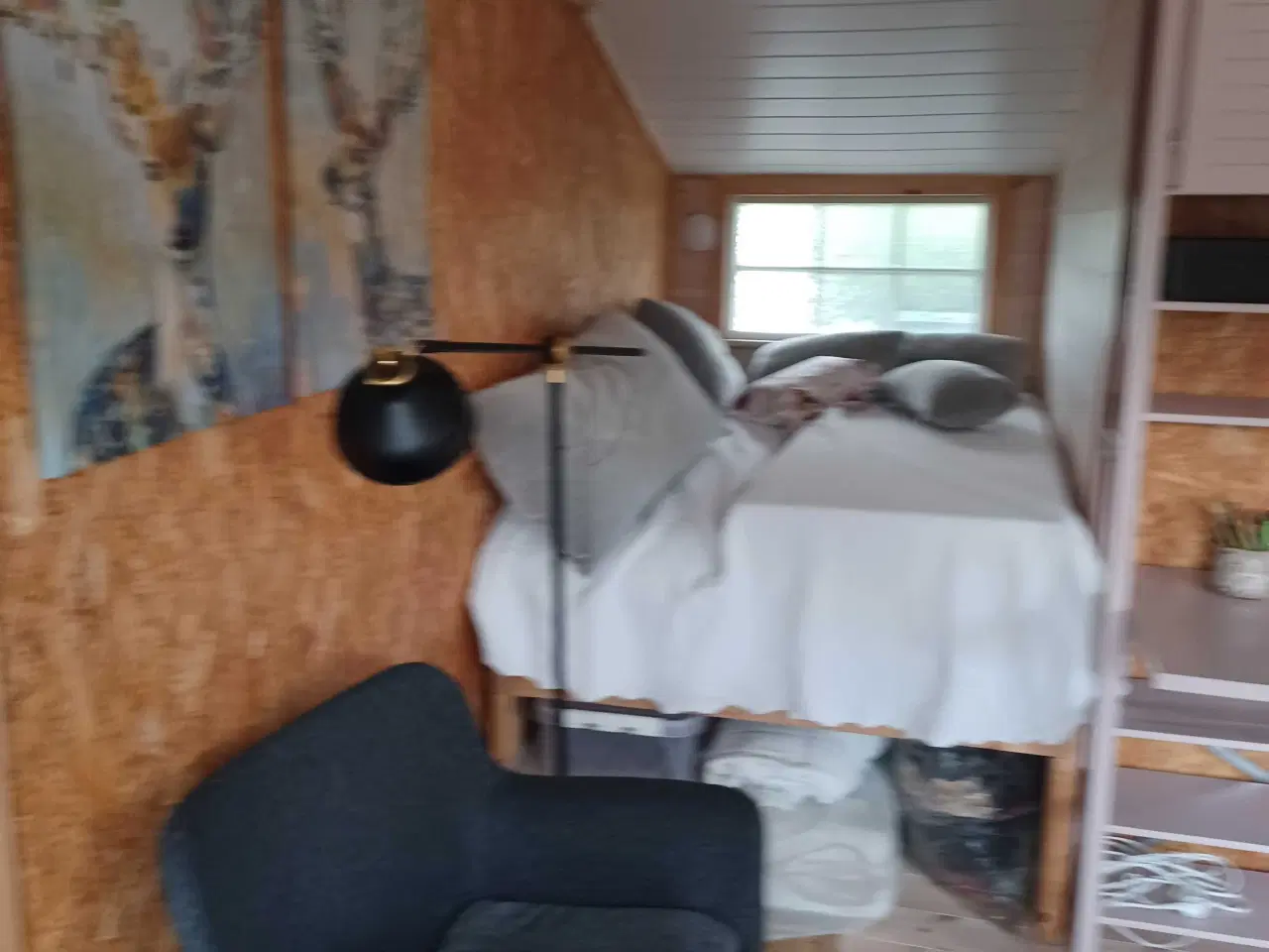 Billede 15 - Kolonihavehus