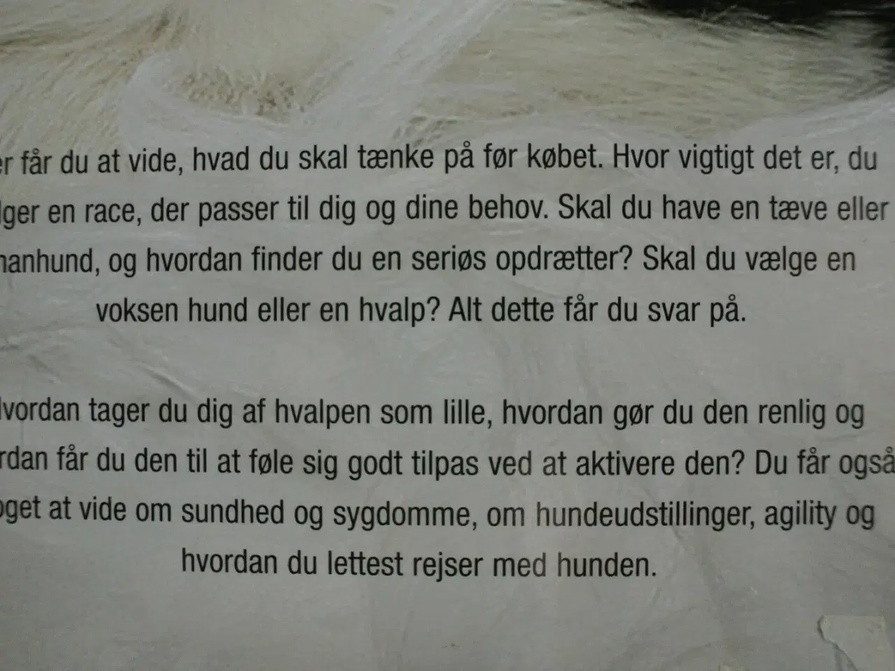 Billede 3 - at få hund - hundeejerens første håndbog, af ulla 