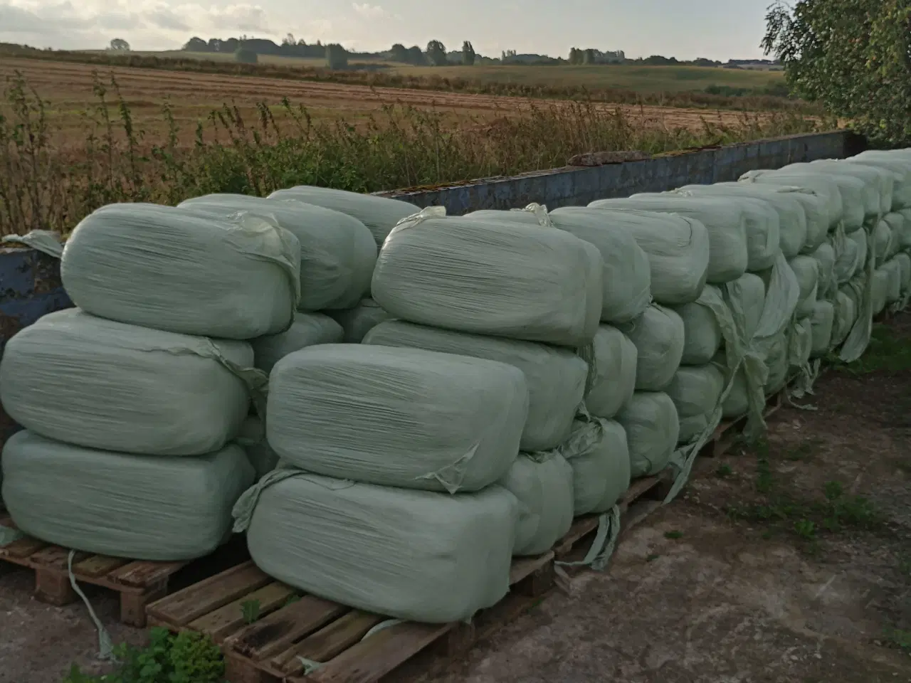 Billede 1 - Wraphø, super kvalitet.