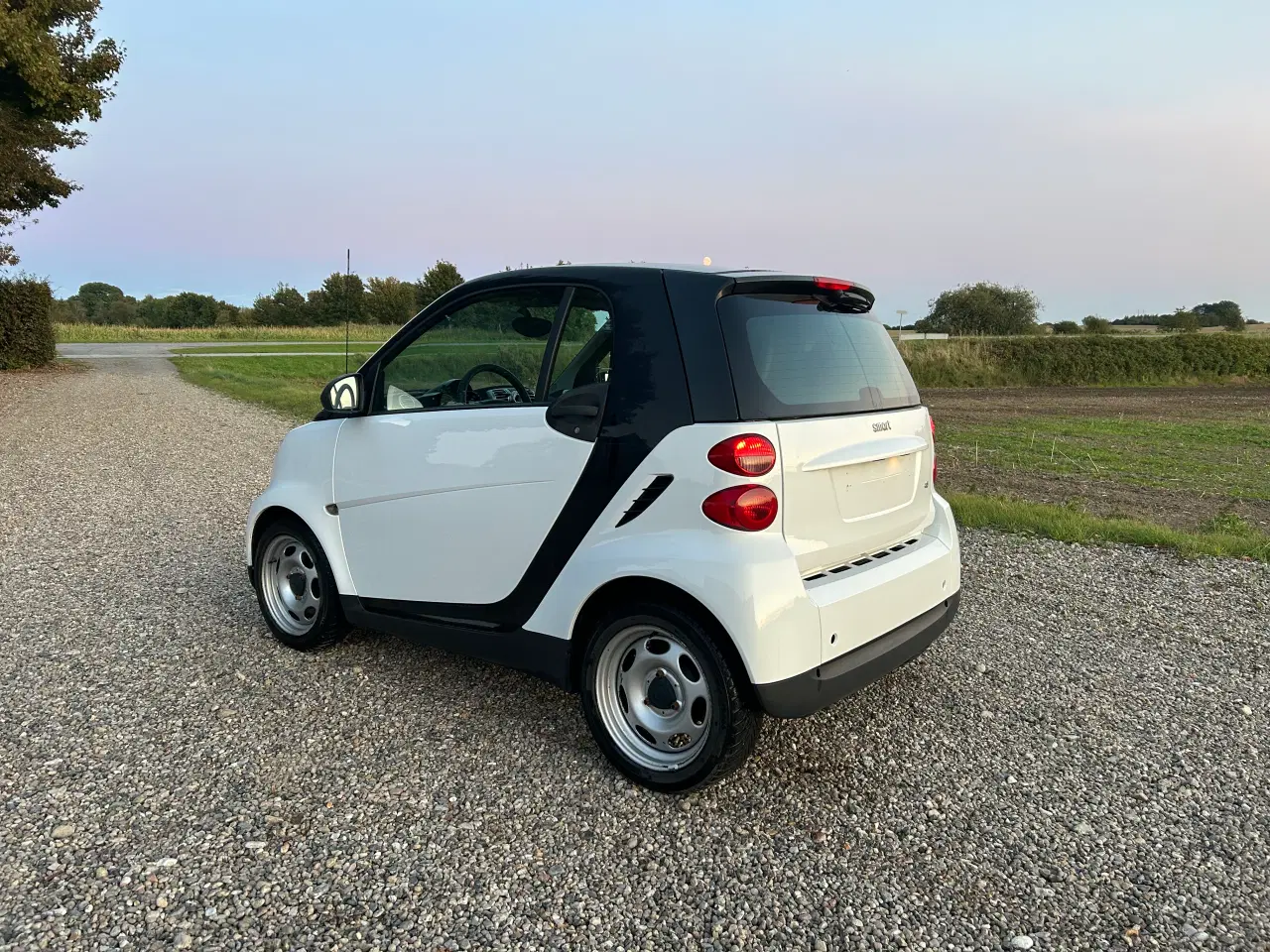 Billede 2 - Smart fortwo 0.8cdi