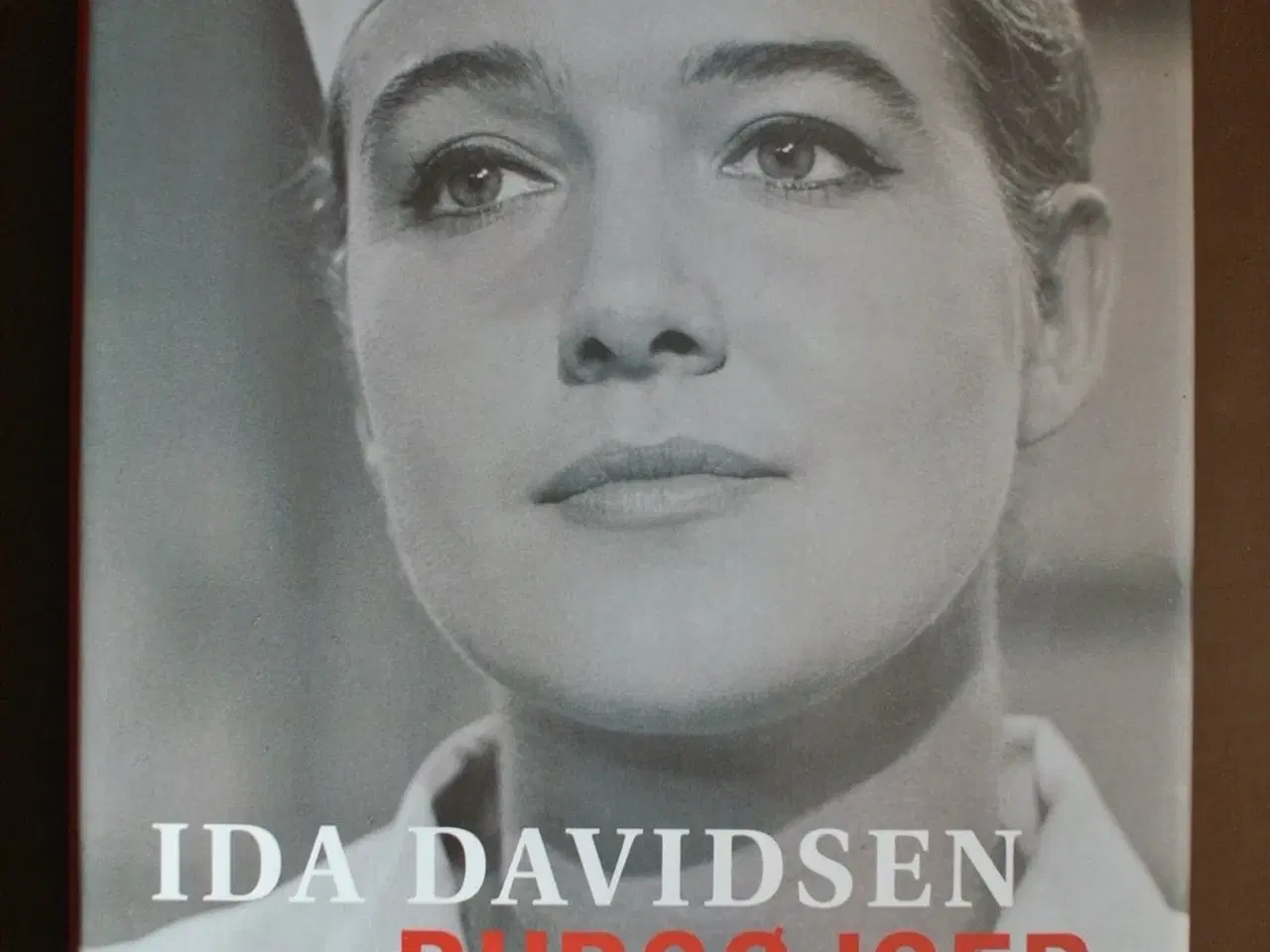 Billede 1 - burgøjser, af ida davidsen