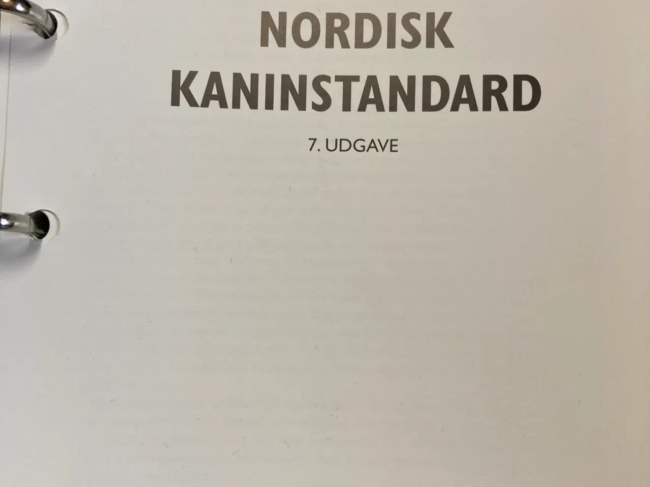 Billede 2 - Kaninstandard, nordisk