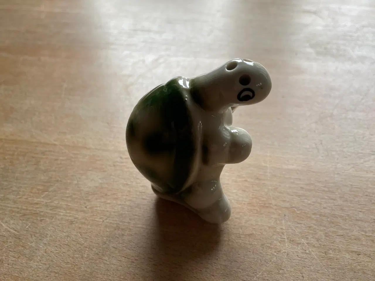 Billede 2 - Saltbøsse skildpadde