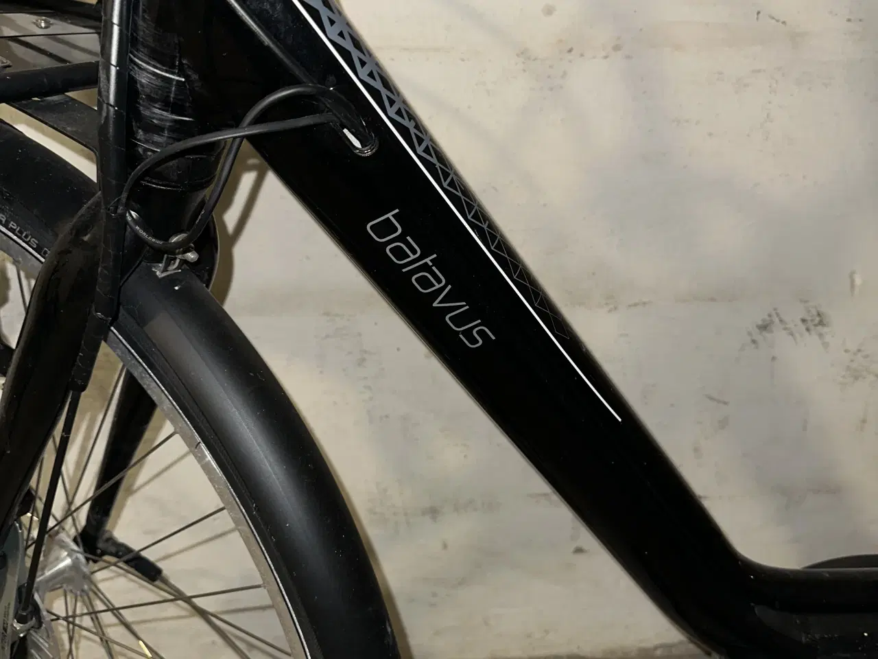 Billede 3 - Batavus Nepoli Ego