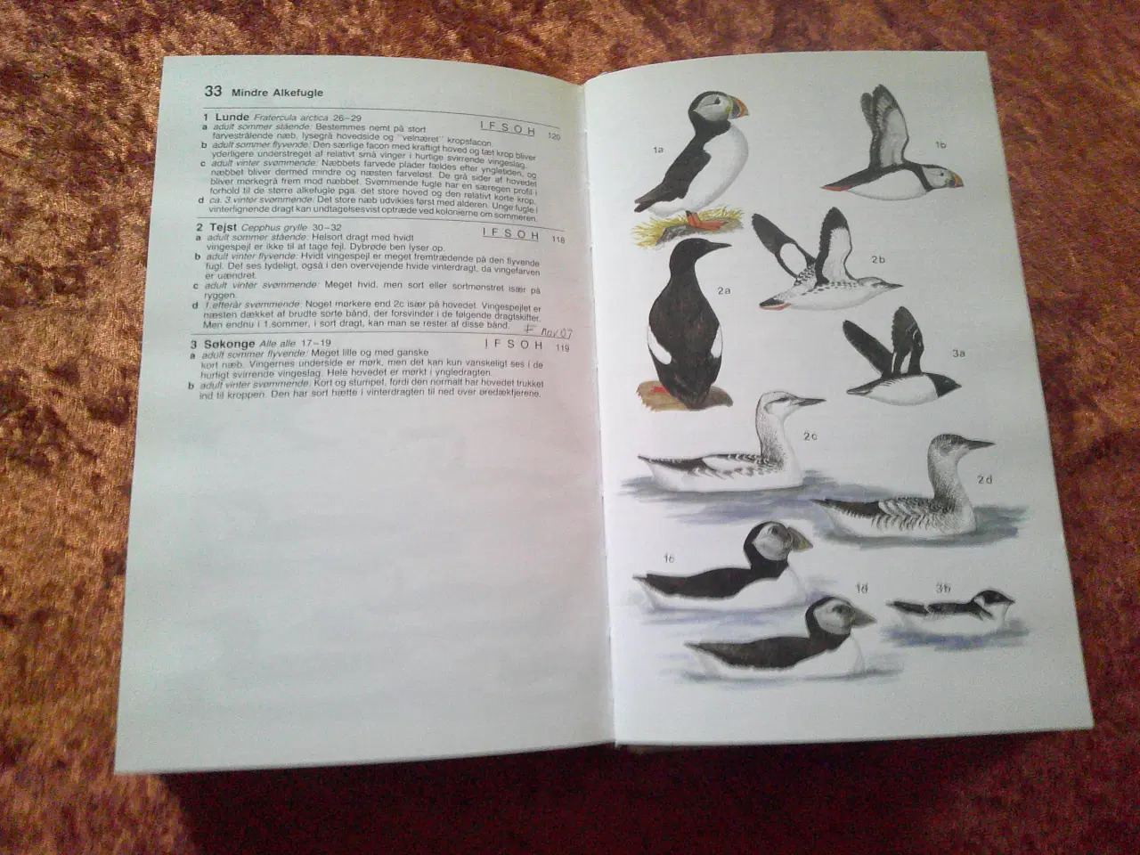 Billede 4 - Fugle i Nordatlanten, Søren Sørensen