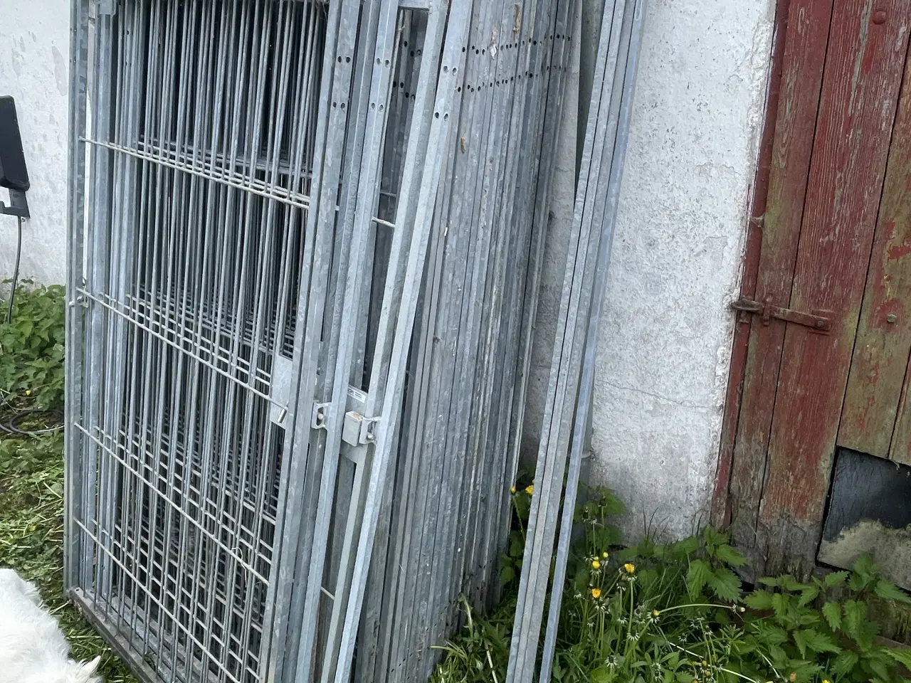 Billede 1 - Hundegård HAKON