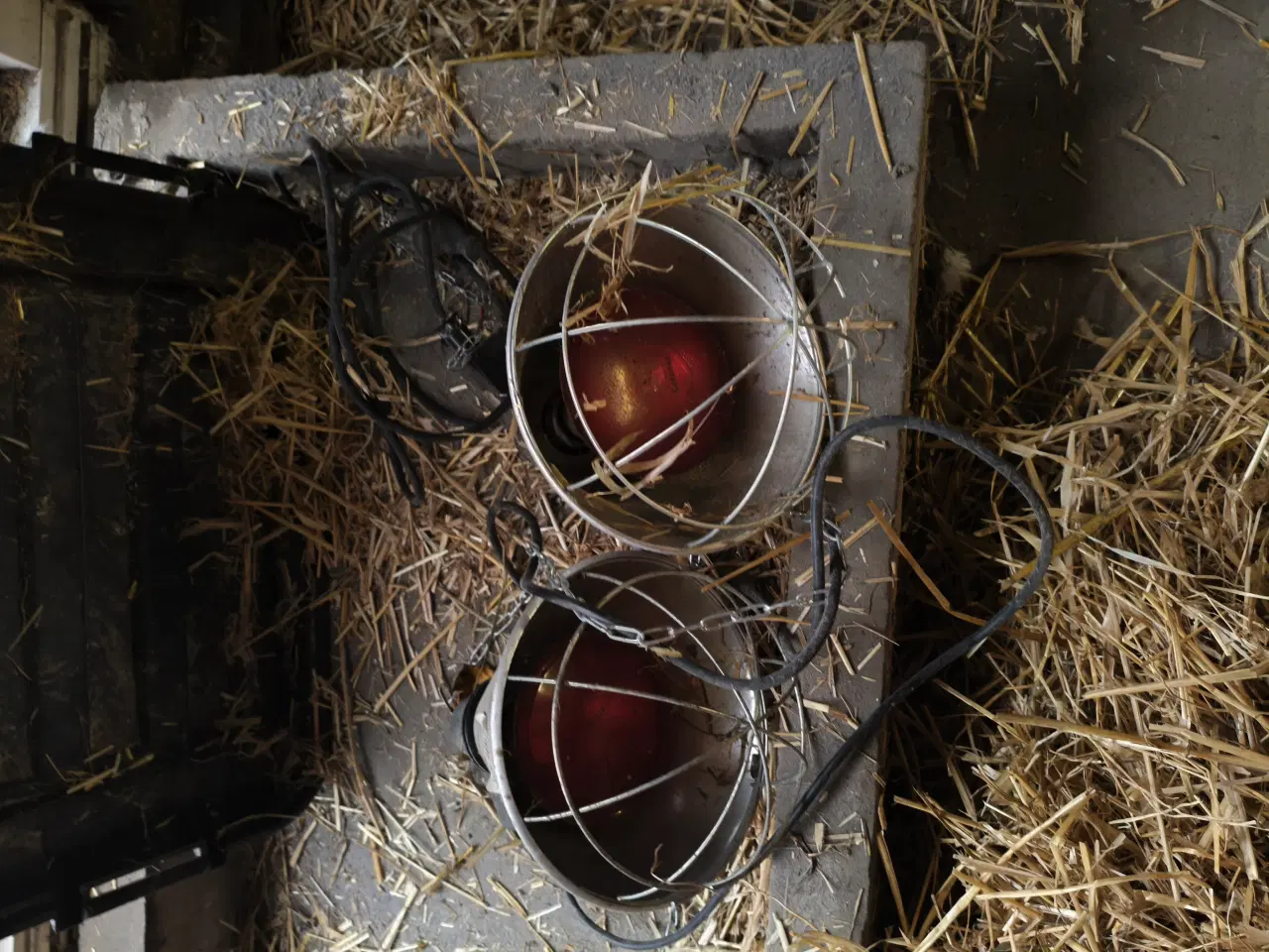 Billede 4 - Moskusænder med alt tilbehør 