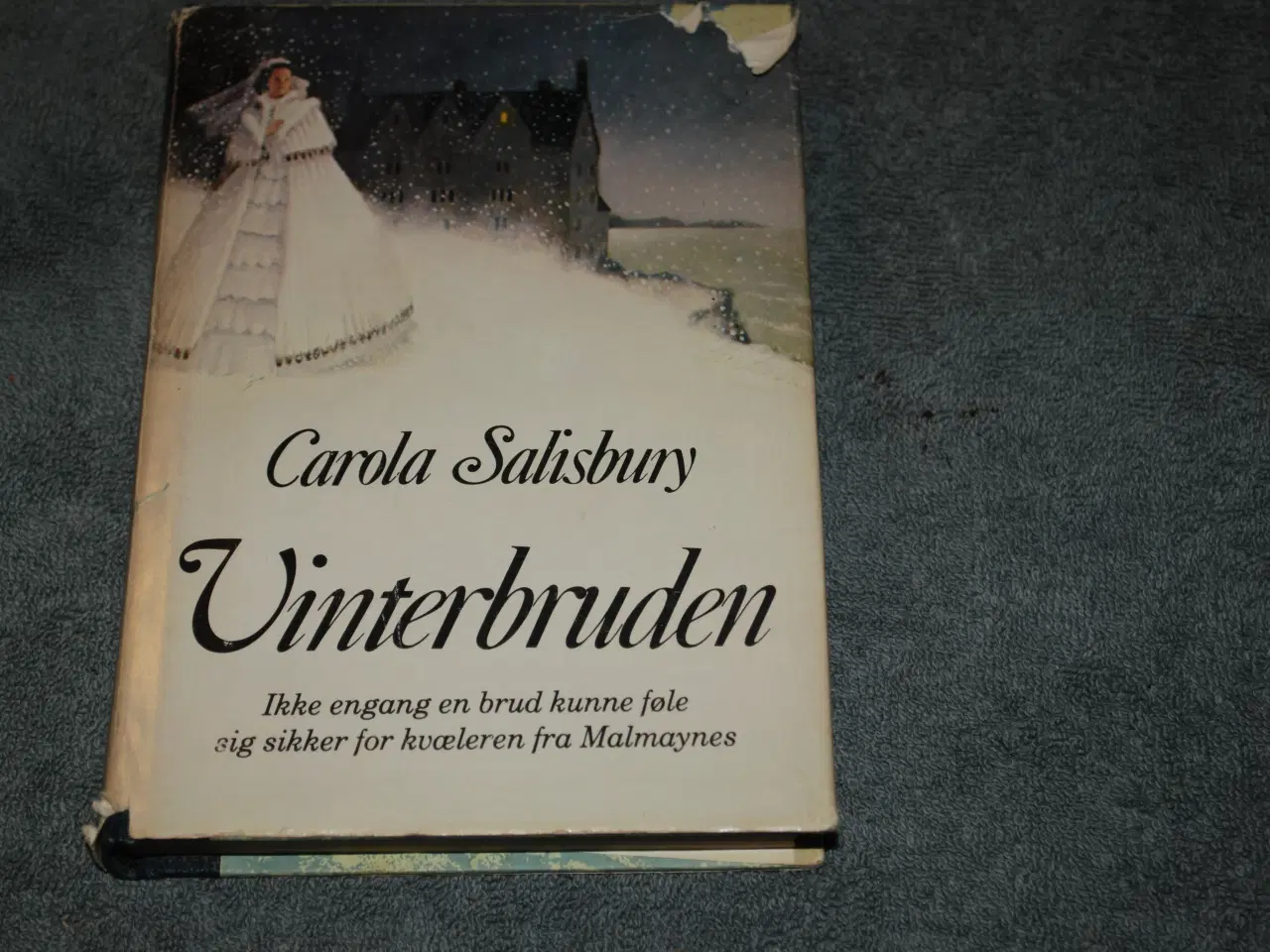 Billede 1 - Vinterbruden, Carola Salisbury