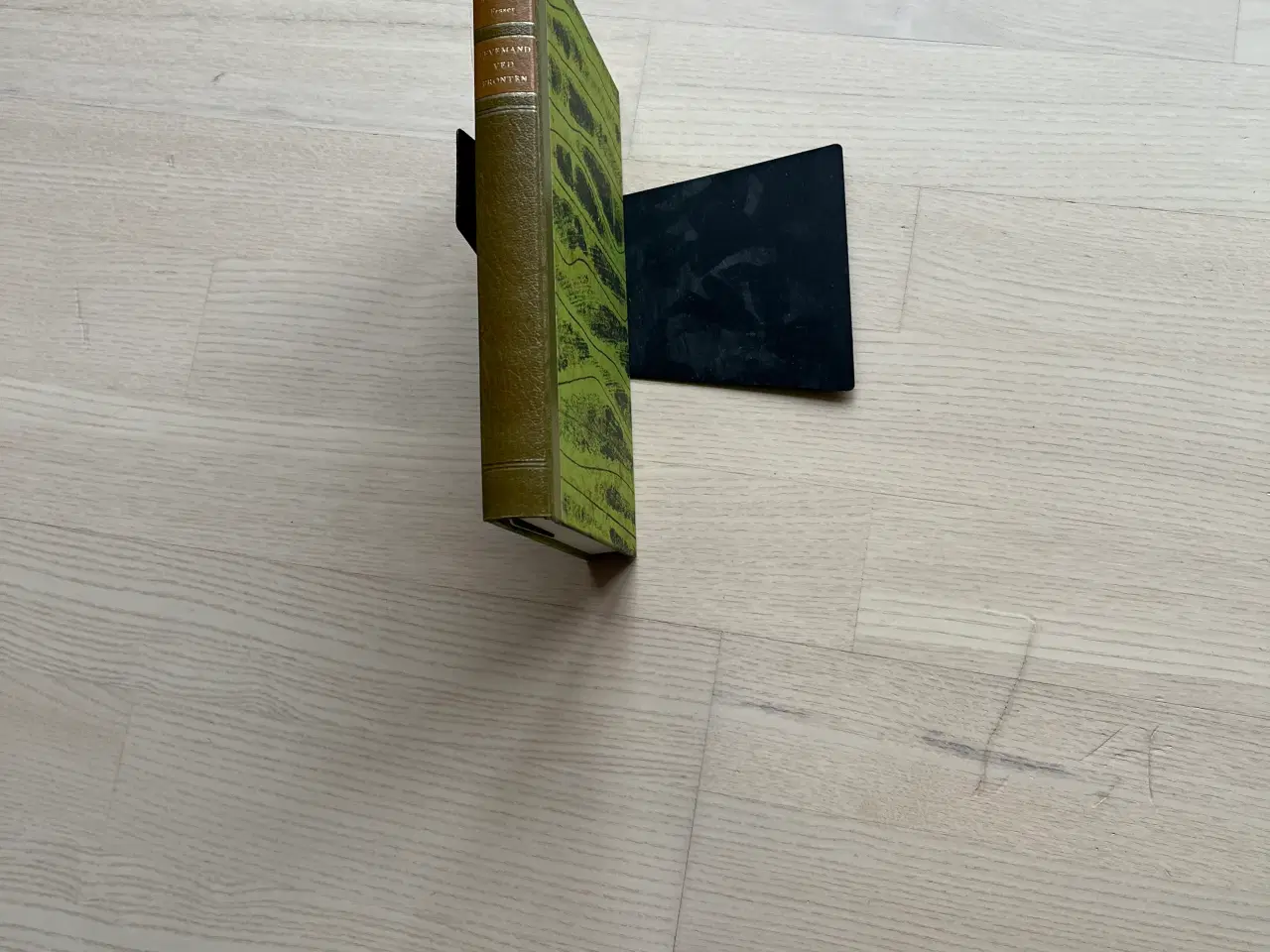 Billede 1 - Levemand ved fronten af Georg MacDonald Fraser