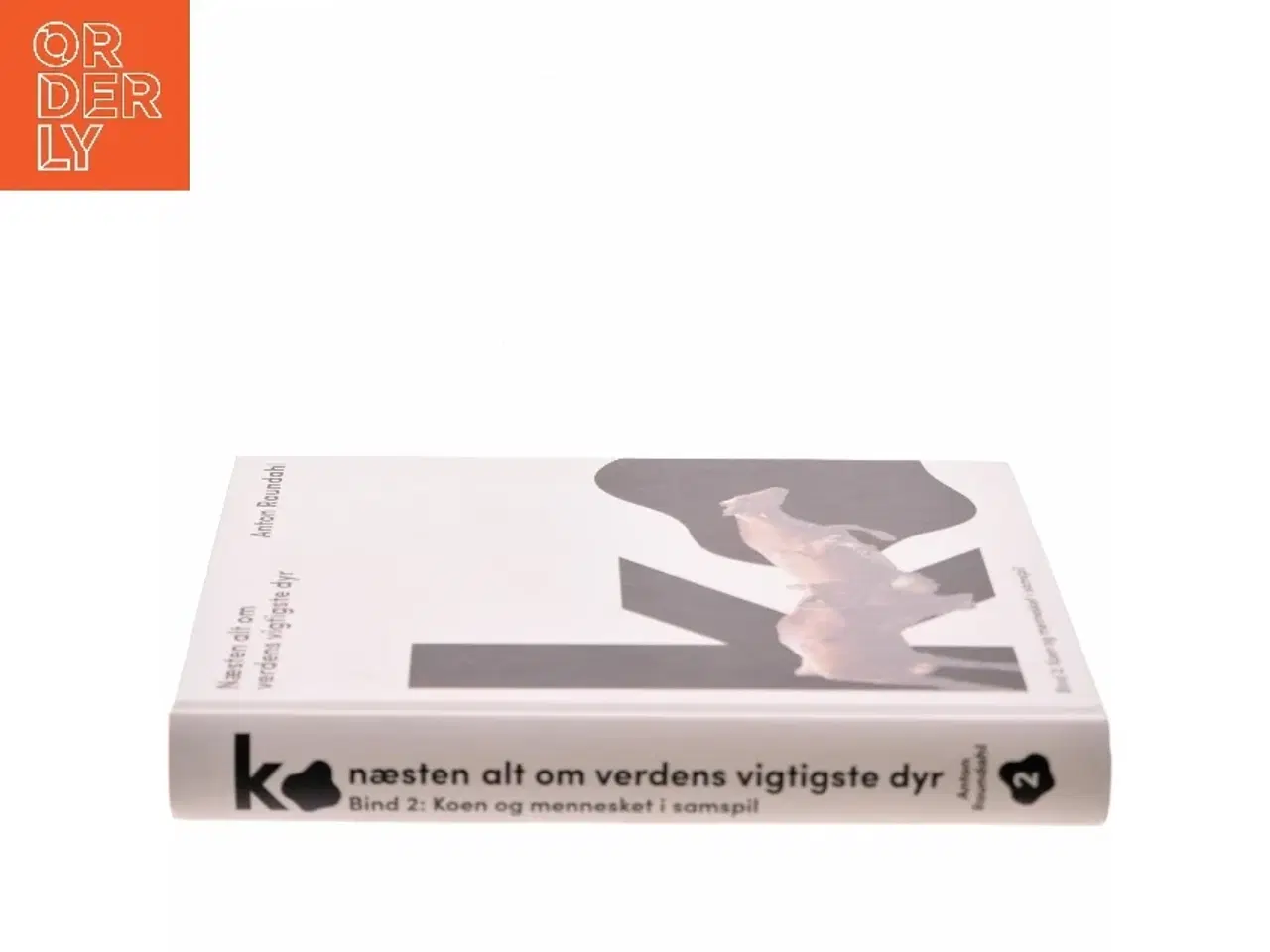 Billede 2 - Næsten alt om verdens vigtigste dyr af Anton Raundahl (Bog)