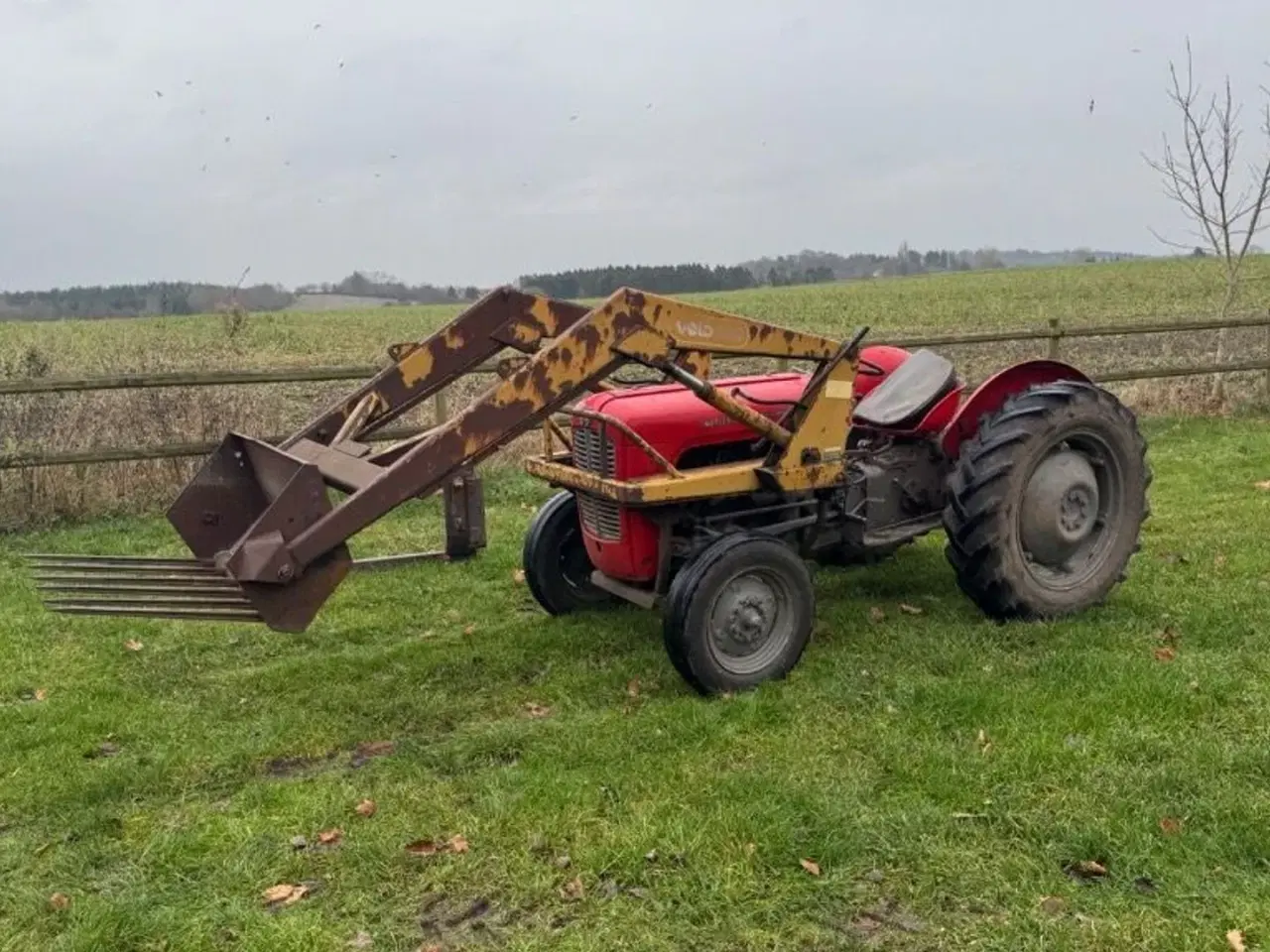 Billede 1 - Massey Ferguson 135