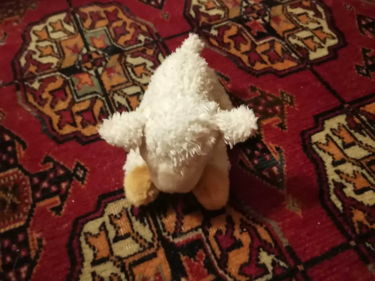 Billede 6 - Josefine sælger ud 10 kr pr stk 🌸