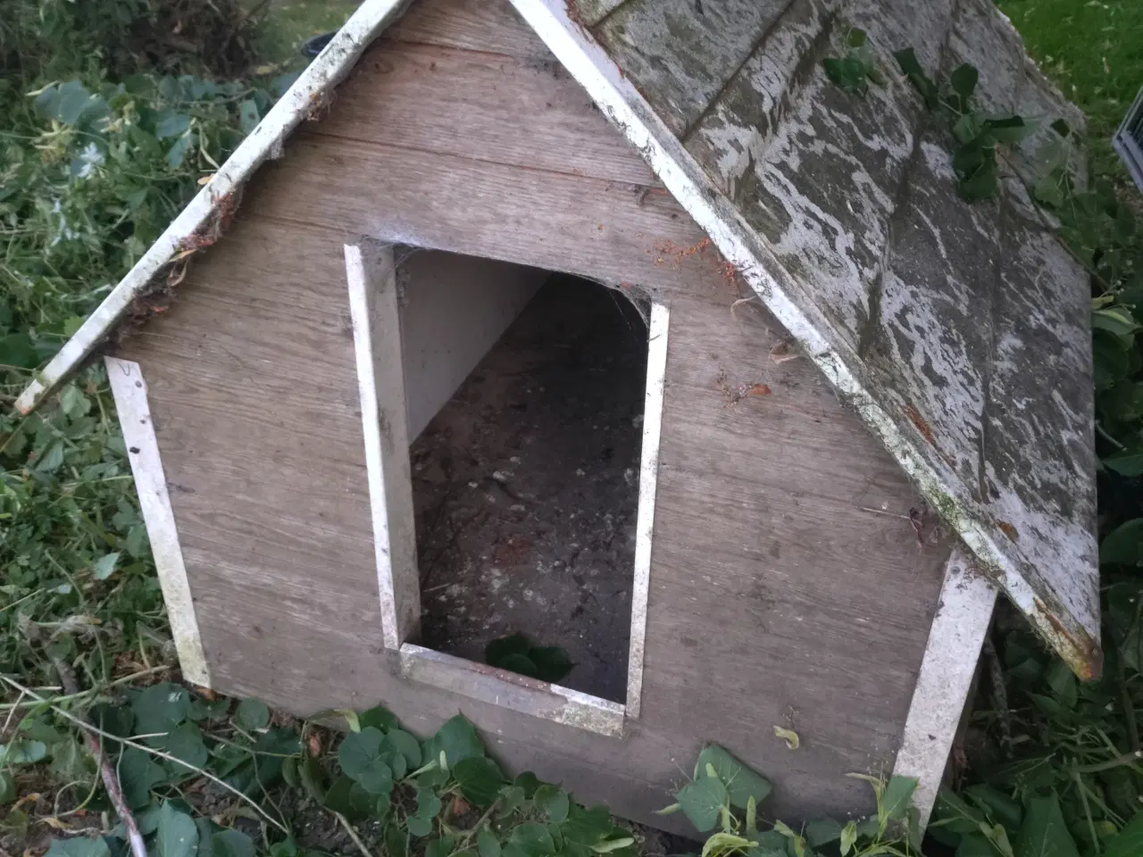 Billede 5 - Hundegård/Løbegård