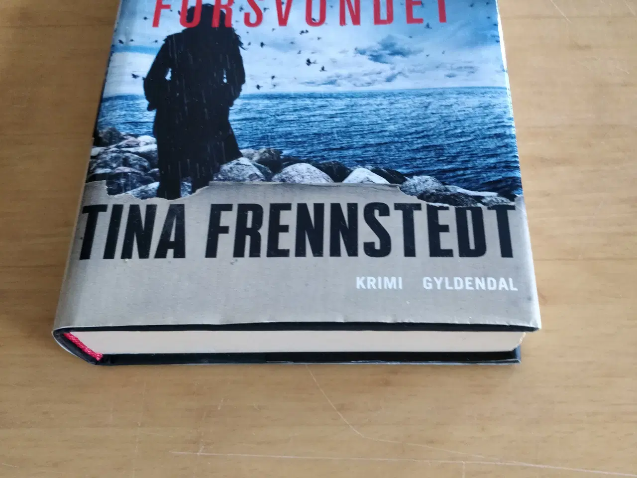 Billede 2 - Cold Case: Forsvundet, Tina Frennstedt 