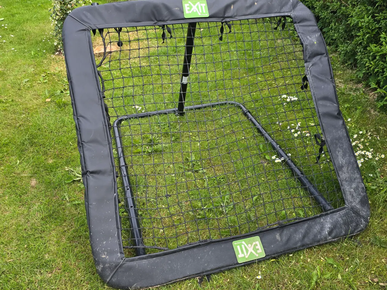 Billede 1 - Rebounder