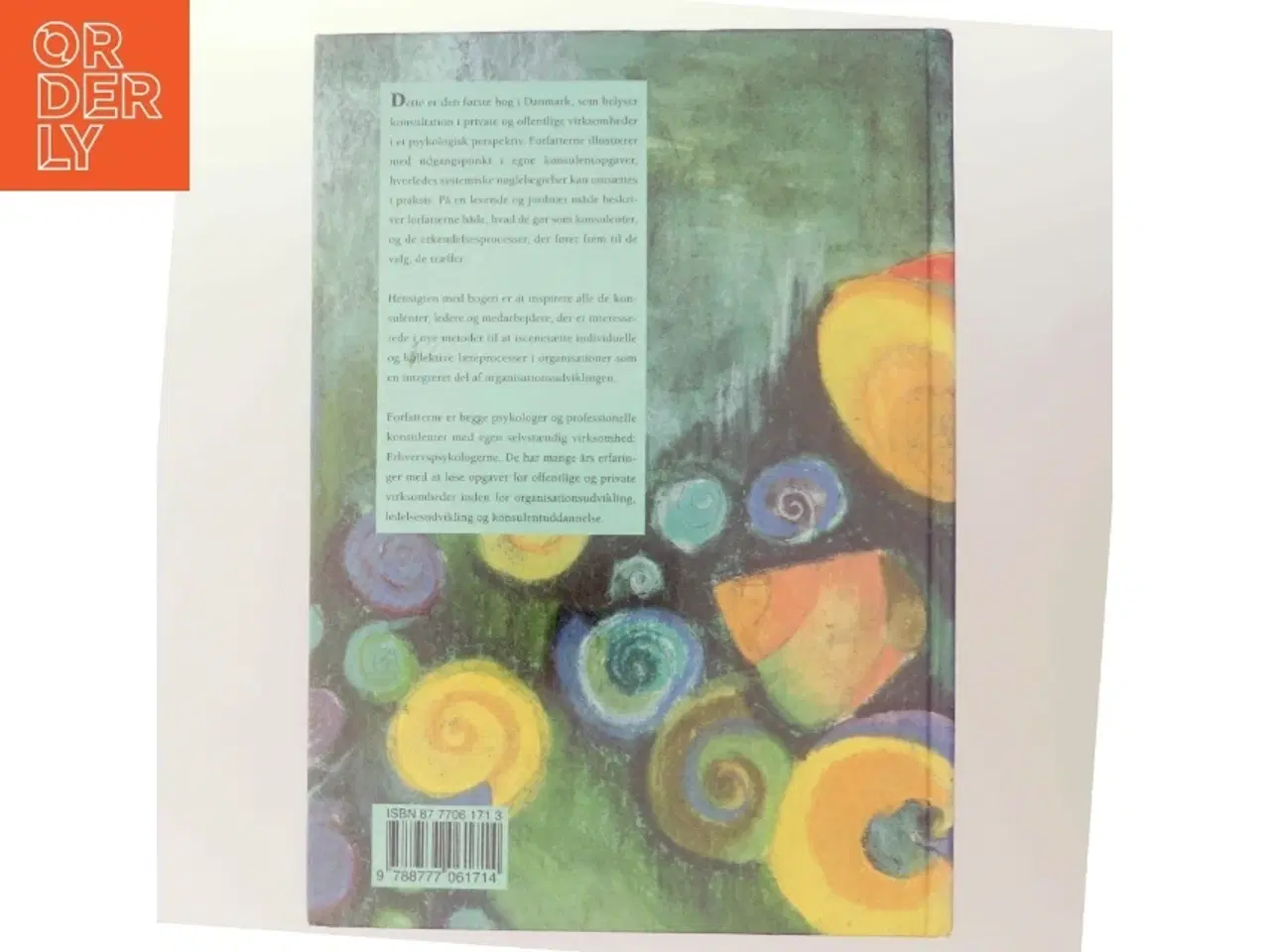 Billede 3 - Konsultation i organisationer : hvordan mennesker skaber ny mening (Bog)