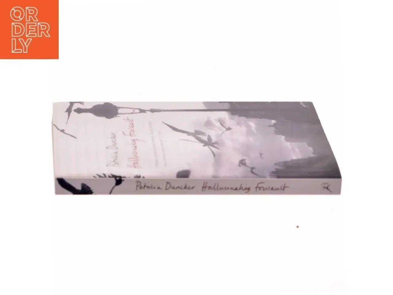 Billede 2 - Hallucinating Foucault