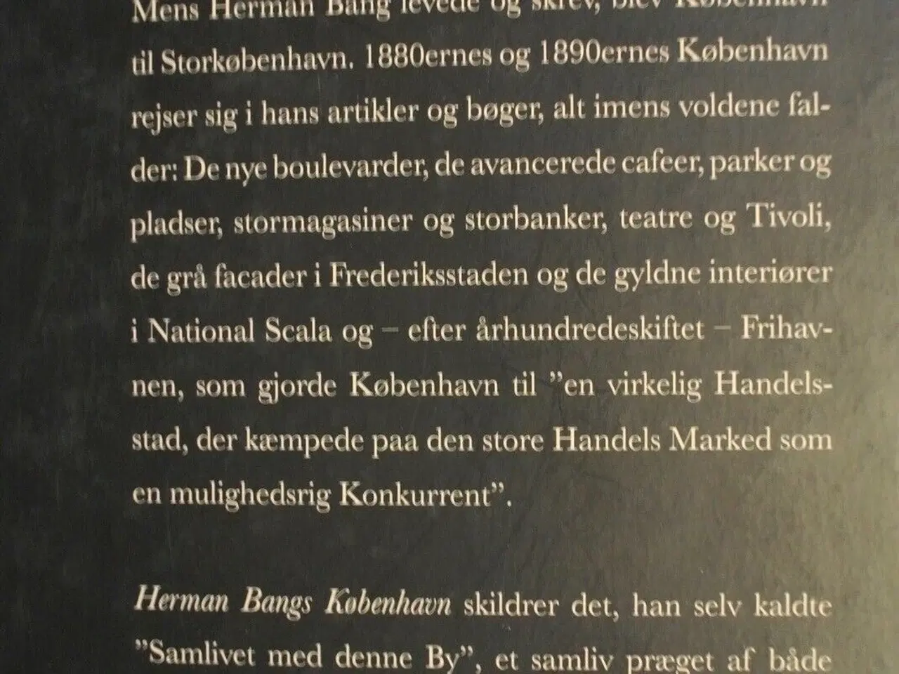 Billede 2 - herman bangs københavn, Af martin zerlang, emne: l