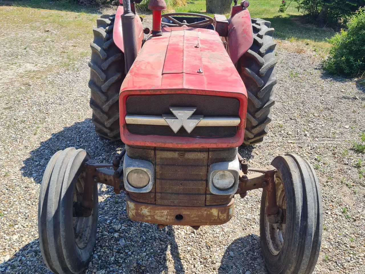 Billede 4 - Massey Ferguson 135 benzin