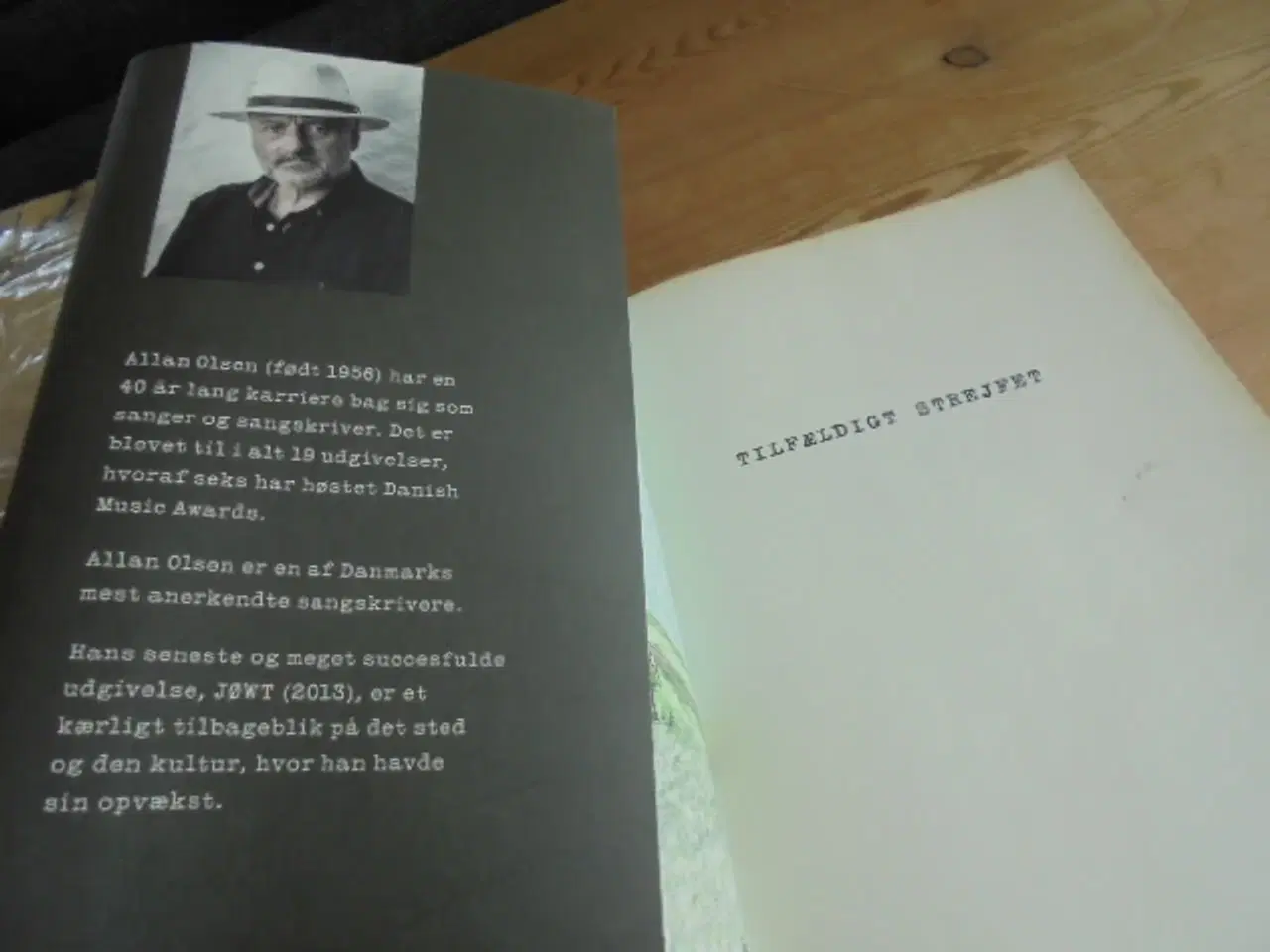 Billede 2 - Allan Olsen – Tilfældigt strejfet  