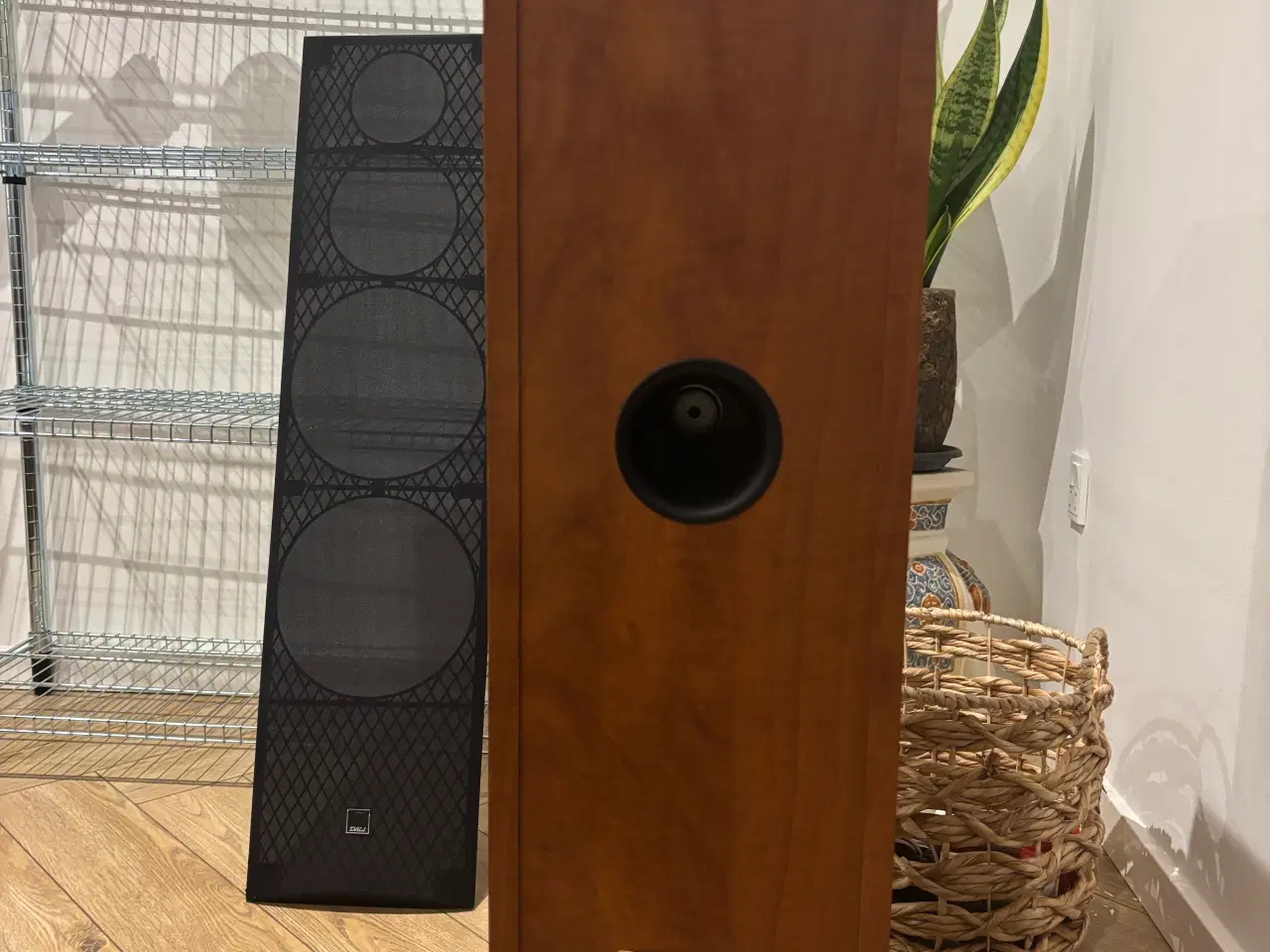 Billede 5 - 🎵 DALI Blue 8008 gulvhøjttalere – flot stand