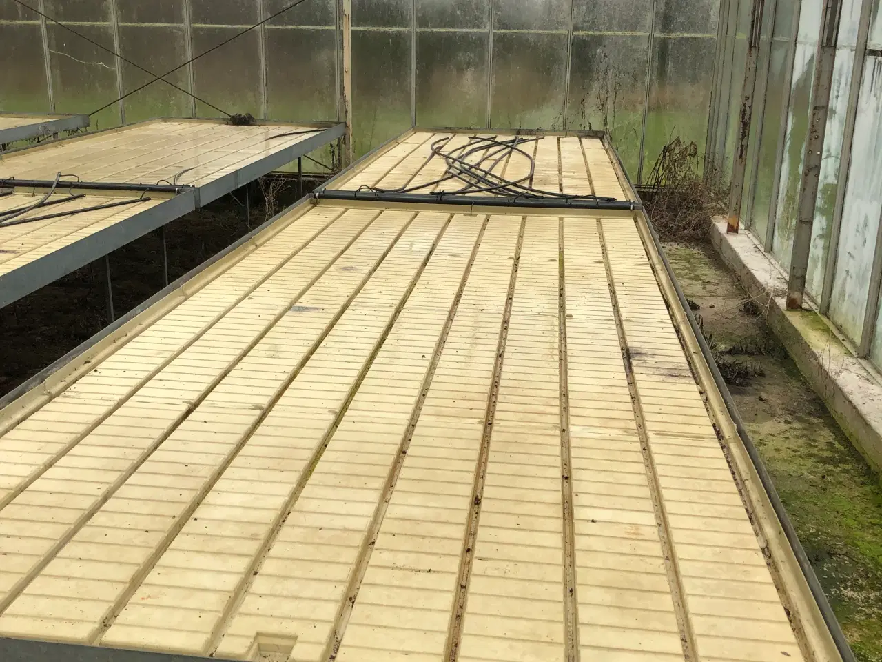 Billede 6 - Brugt Gartneri drivhus ca 220m2
