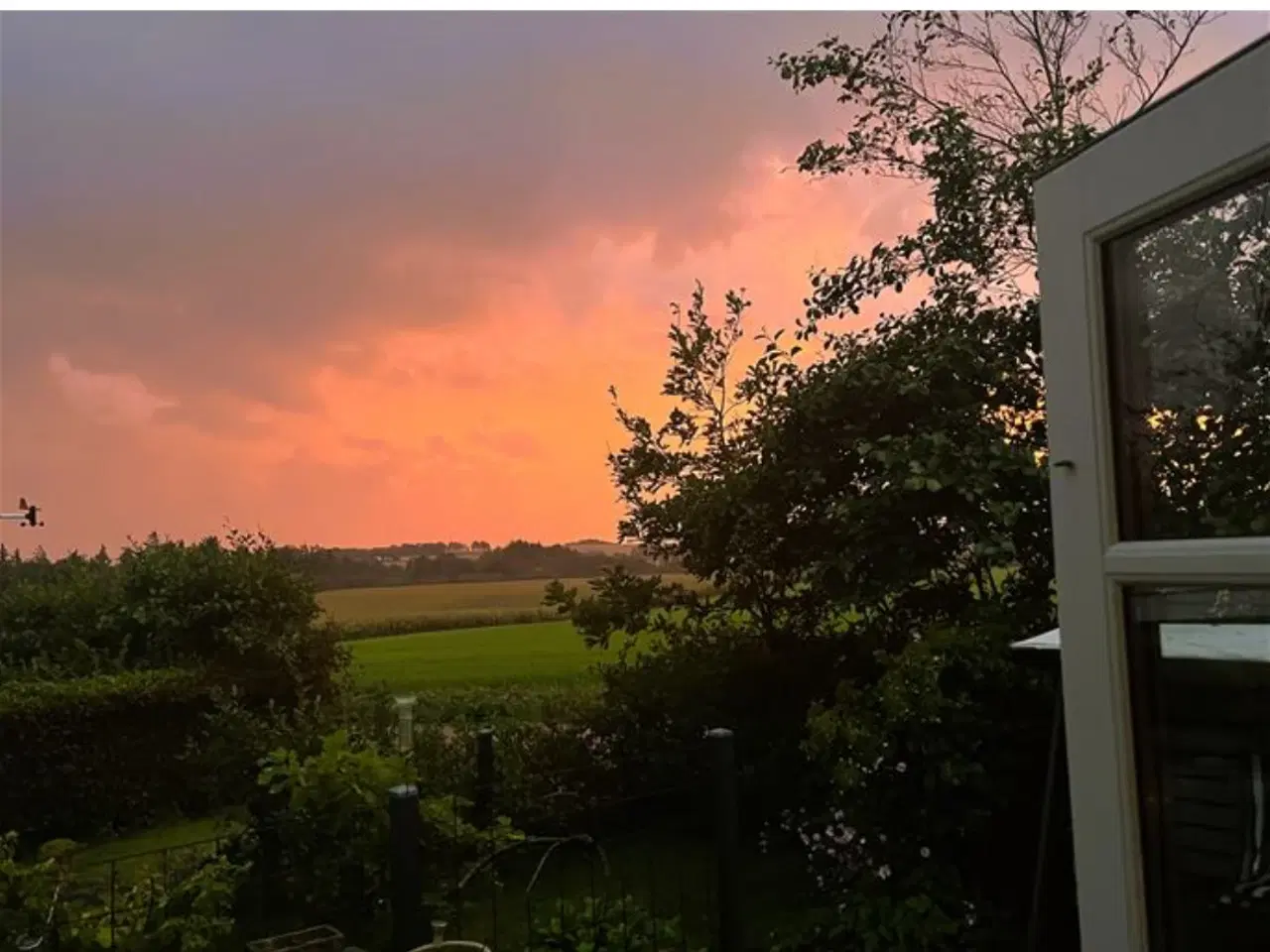 Billede 19 - Det fineste sommerhus tæt på strand