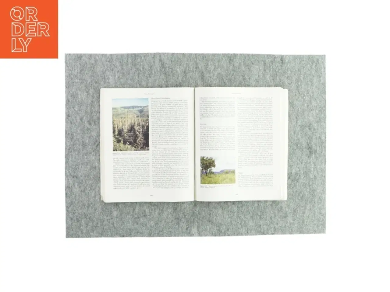Billede 3 - Essentials of physical geography af Ralph C. Scott (bog)