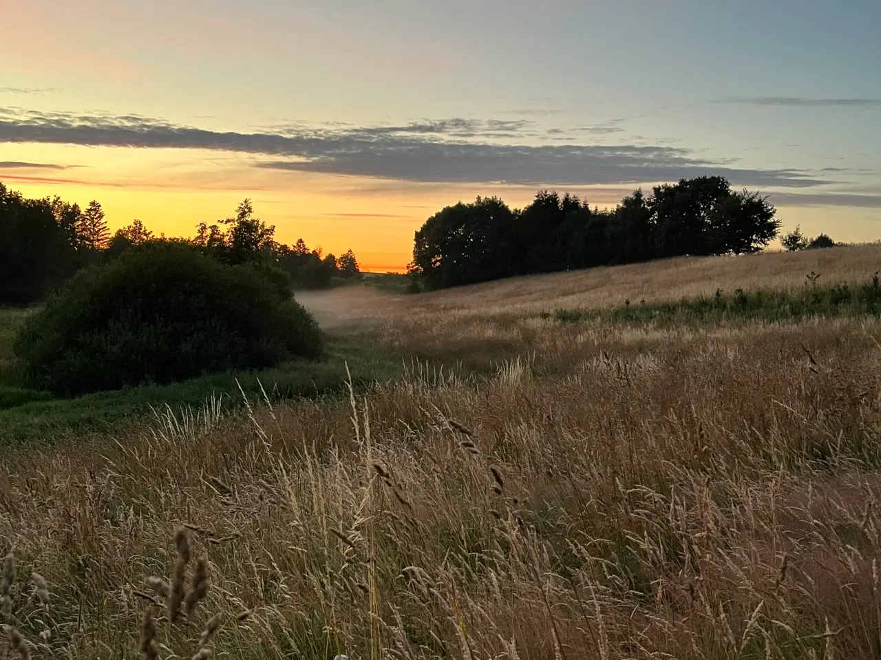 Billede 1 - Hø små baller