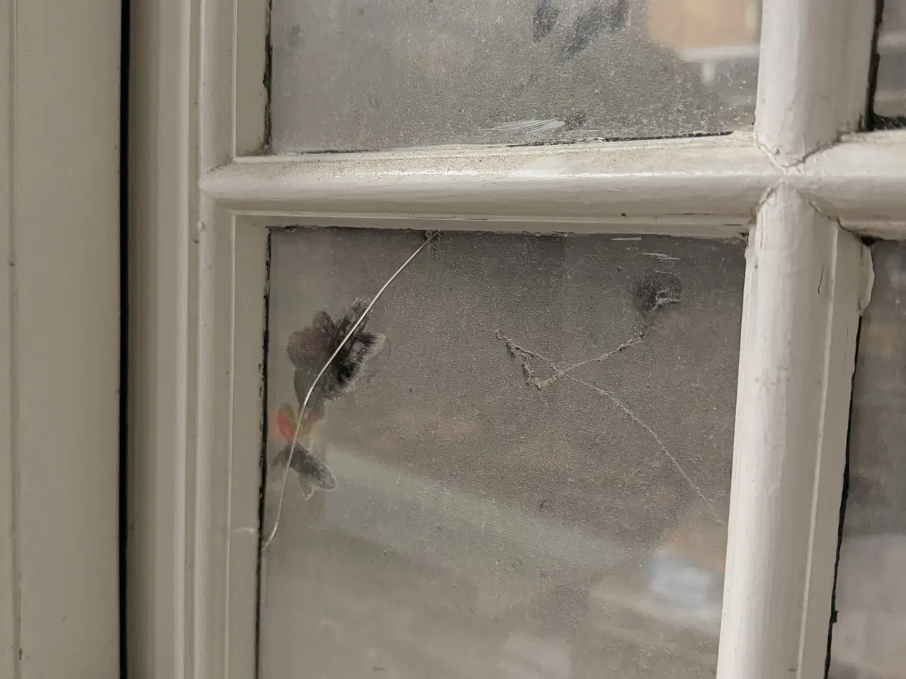 Billede 7 - Sprossede vinduesparti i portrætbog/hvid