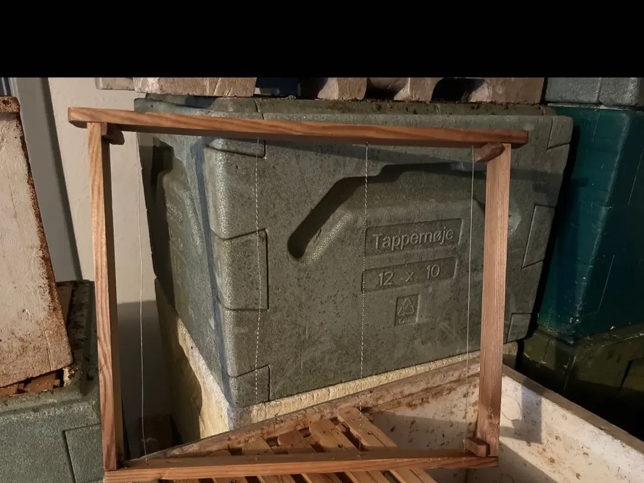 Billede 1 - Bi rammer 12/10 