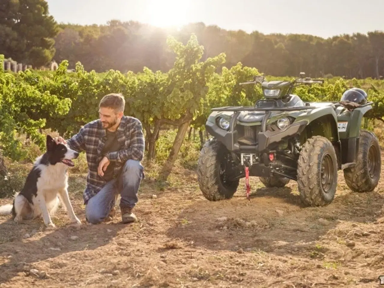 Billede 2 - Yamaha Kodiak 450