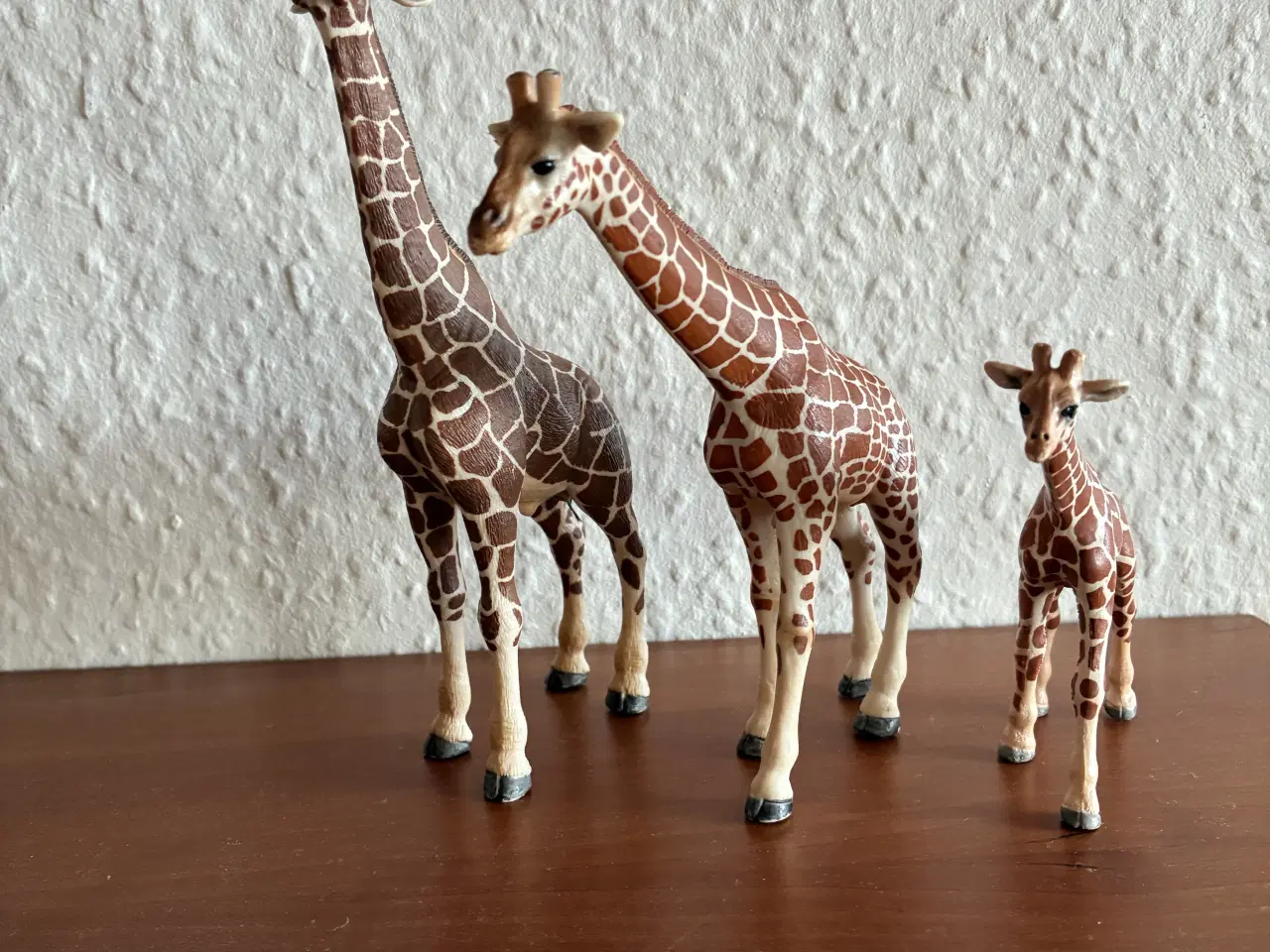 Billede 7 - Forskellige dyrearter 