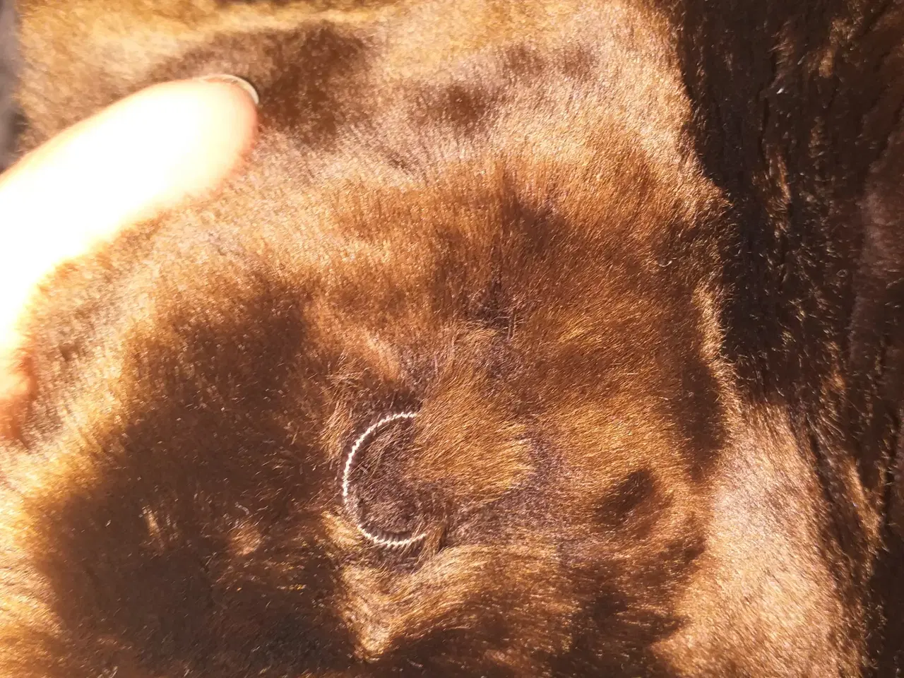 Billede 7 - Pels jakke ikke ægte str.38 -40,