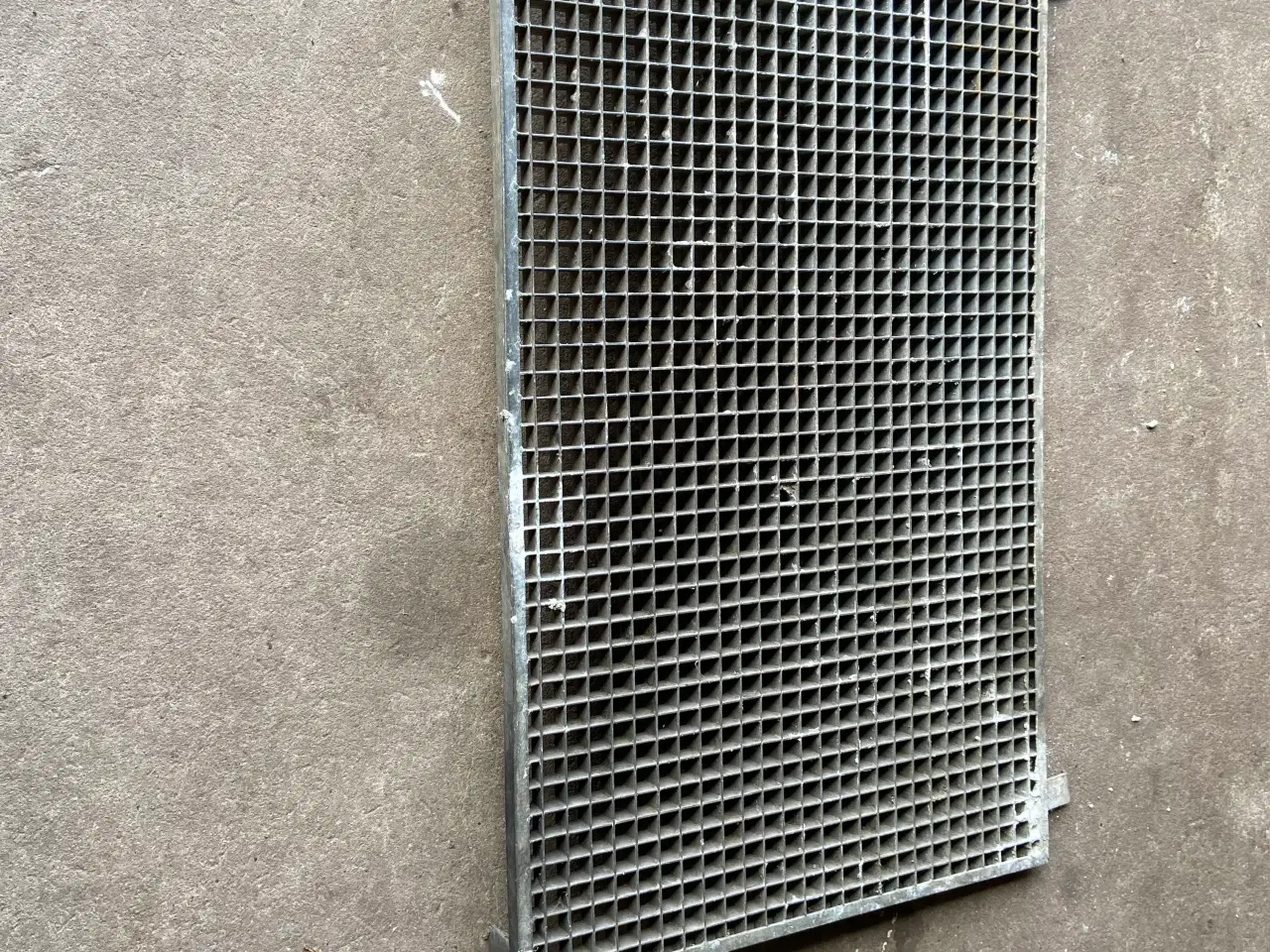 Billede 1 - Elefant rist