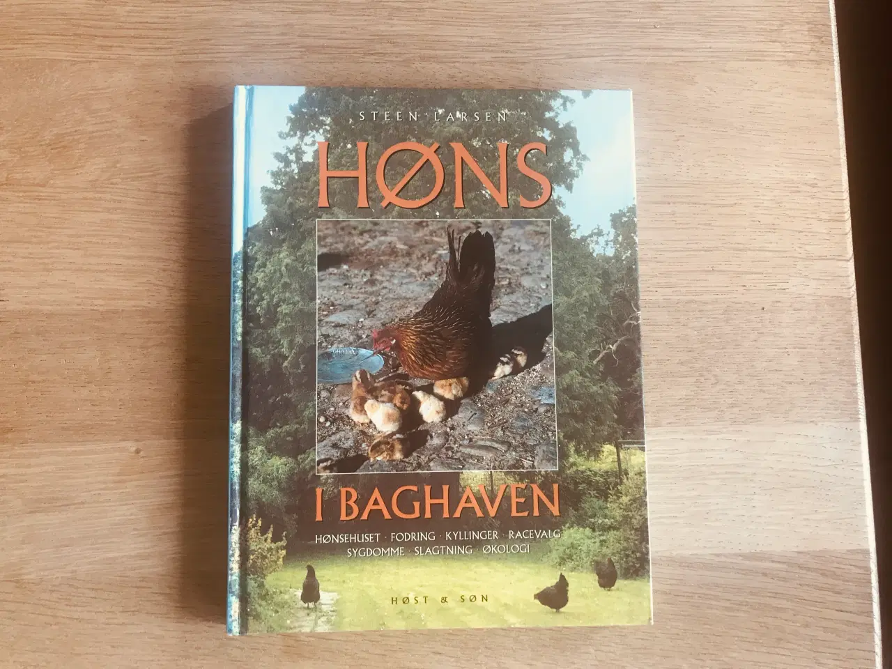 Billede 1 - Høns i Baghaven  af Steen Larsen