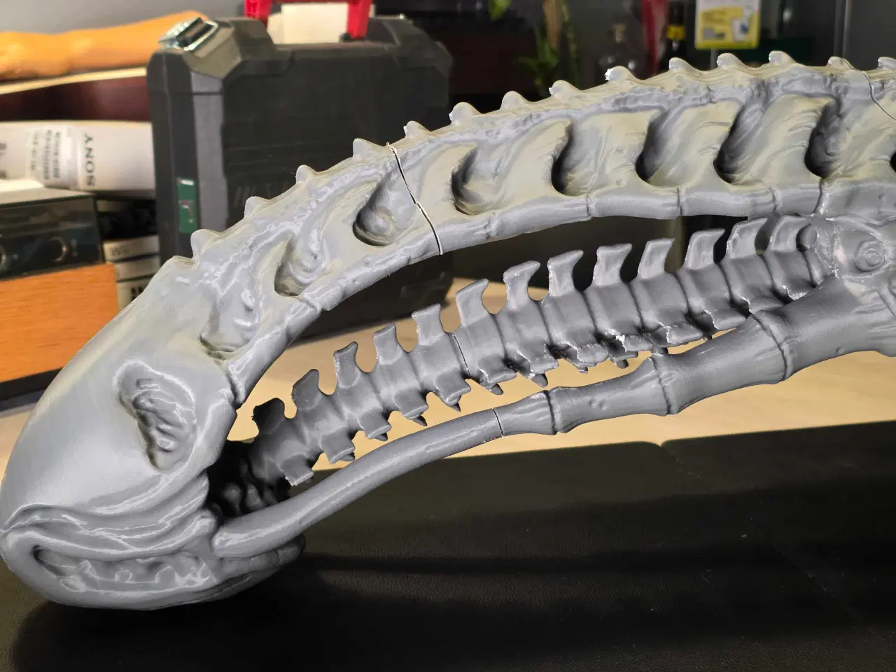 Billede 4 - Livsstørrelse Alien (Xenomorph) Kranie - 3D-print